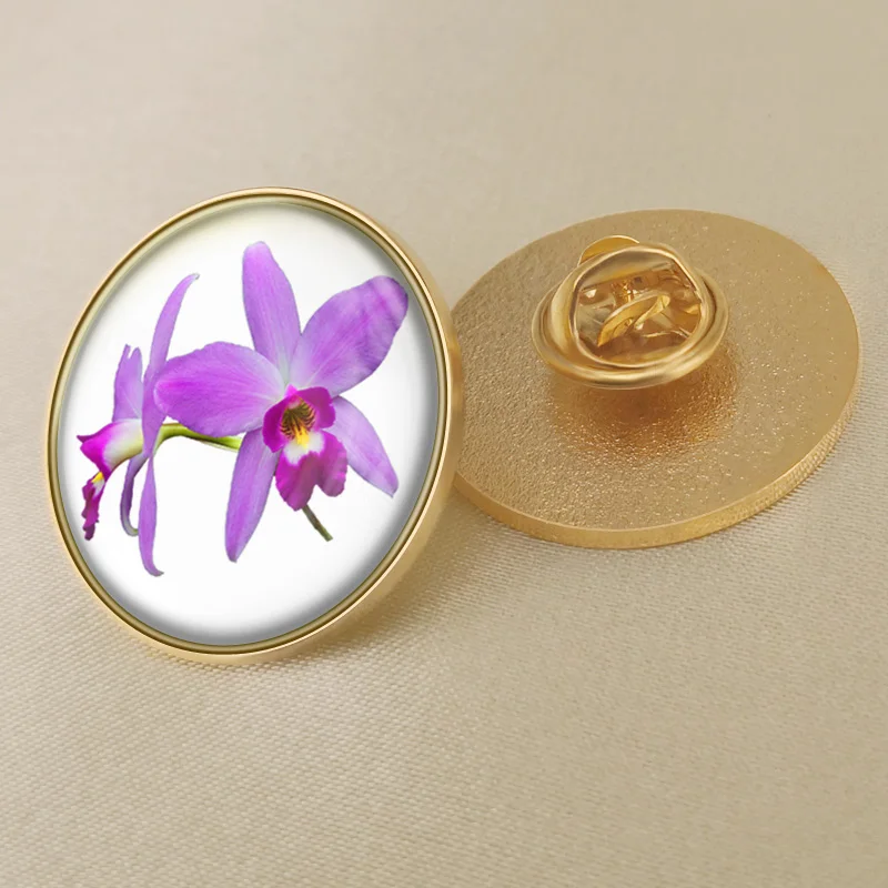 Герб Бразилии в карта Национальный флаг Эмблема с национальным цветочным брошь