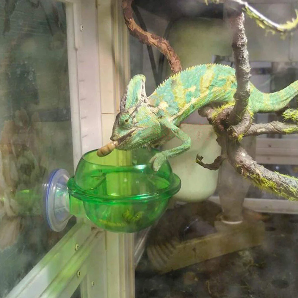 Кормушка для рептилий водное блюдо Gecko Ledge всасывающая кормушка-чашка товары