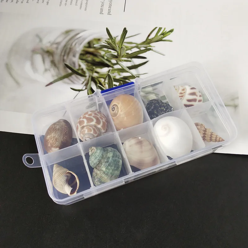 Новинка 10 шт./кор. натуральный название раковин мини раковины кукурузы винтовые