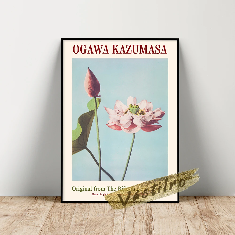 Выставочный плакат Ogawa Kazumasa красивая фотография цветочные листья ВИНТАЖНАЯ | Дом