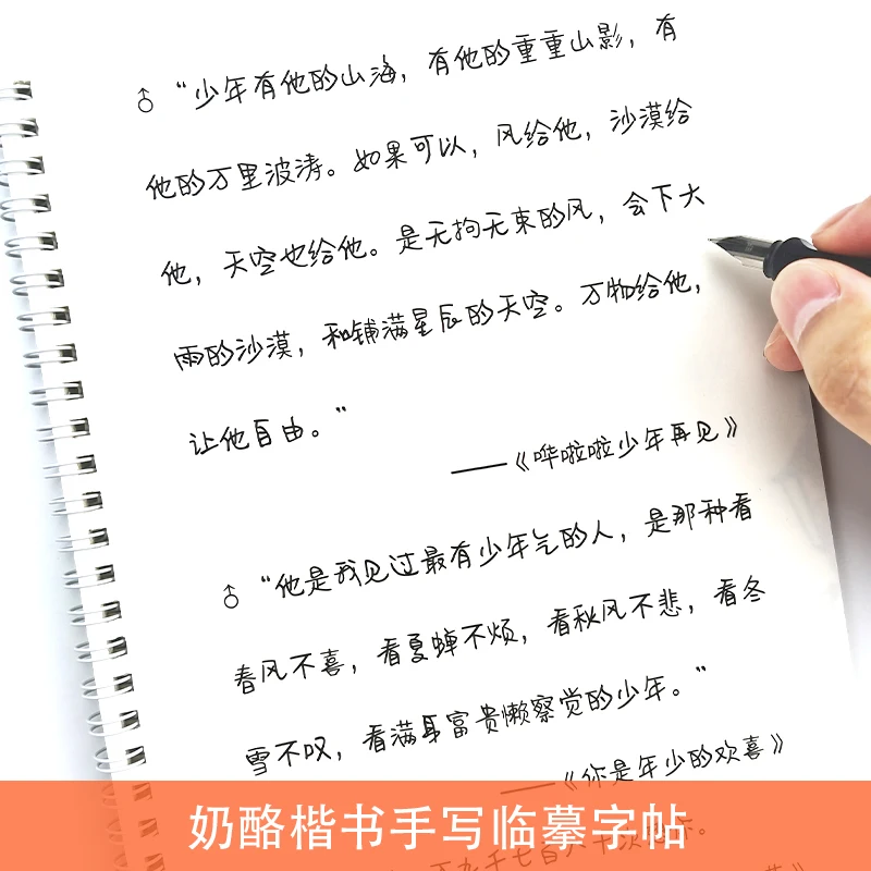 

Beginner Handwriting Practice Copybook Set Adult Hard Calligraphy Exercise Book Copybook for Calligraphy Learning Chinese