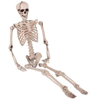 90cm human halloween anatomical anatomy skeleton model medical learn science medicine teaching equipment skull model decor