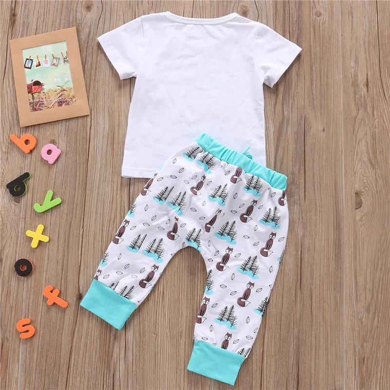 

Pants Outfits Clothes Baby Clothing Set + 0-2Y summer Newborn Baby Boy girl Clothes set little dreamer Animal T-shirt Tops