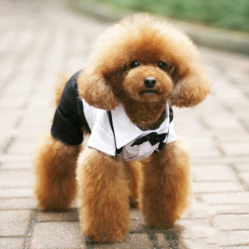 

Pet Dog Cat Clothes Prince Tuxedo Bow Tie Suit Chihuahua Coat Handsome Pets Dog Suit Wedding Dress Jumpsuit Coat Decor