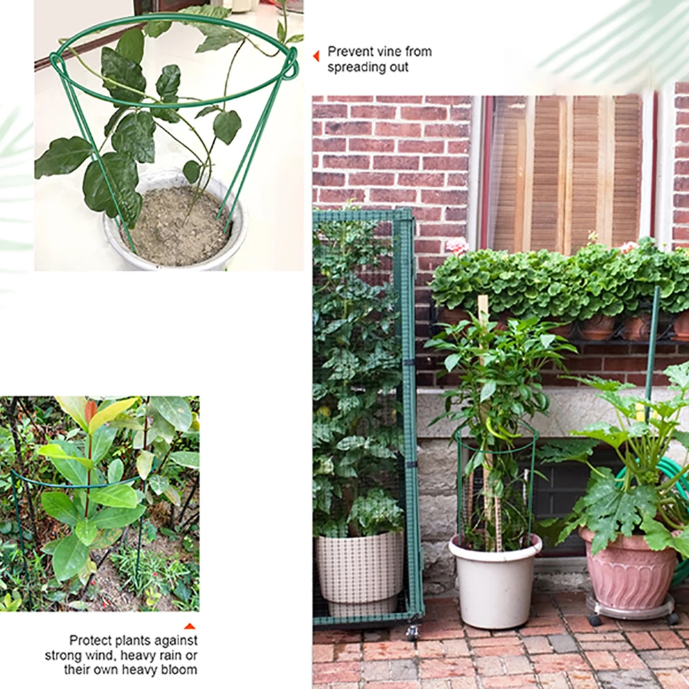 Прочная опора для растений садовая томатная подставка цветов с 3 кольцами