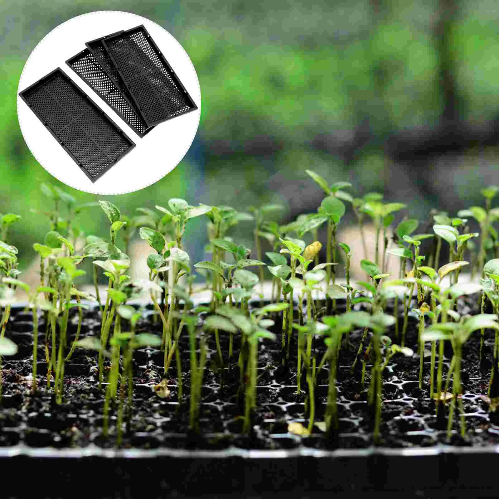 

5 шт., подносы для садоводства