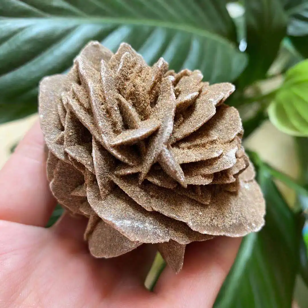 

Natural desert rose crystal quartz energy gem mineral specimen Reiki healing