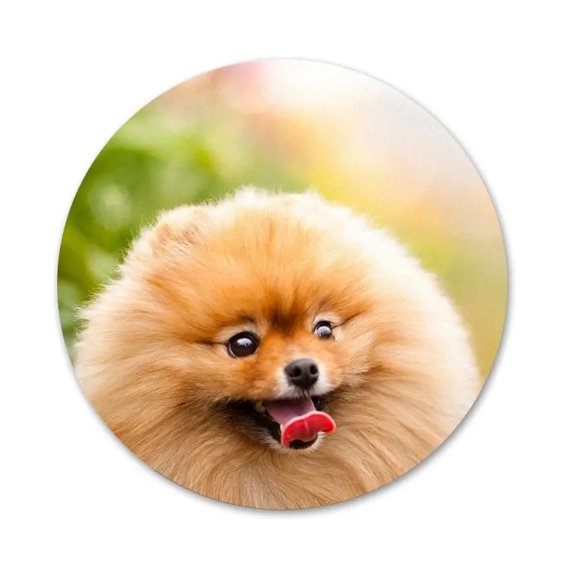 Брошь значок на булавке в виде собаки померанского шпильки аксессуары для одежды