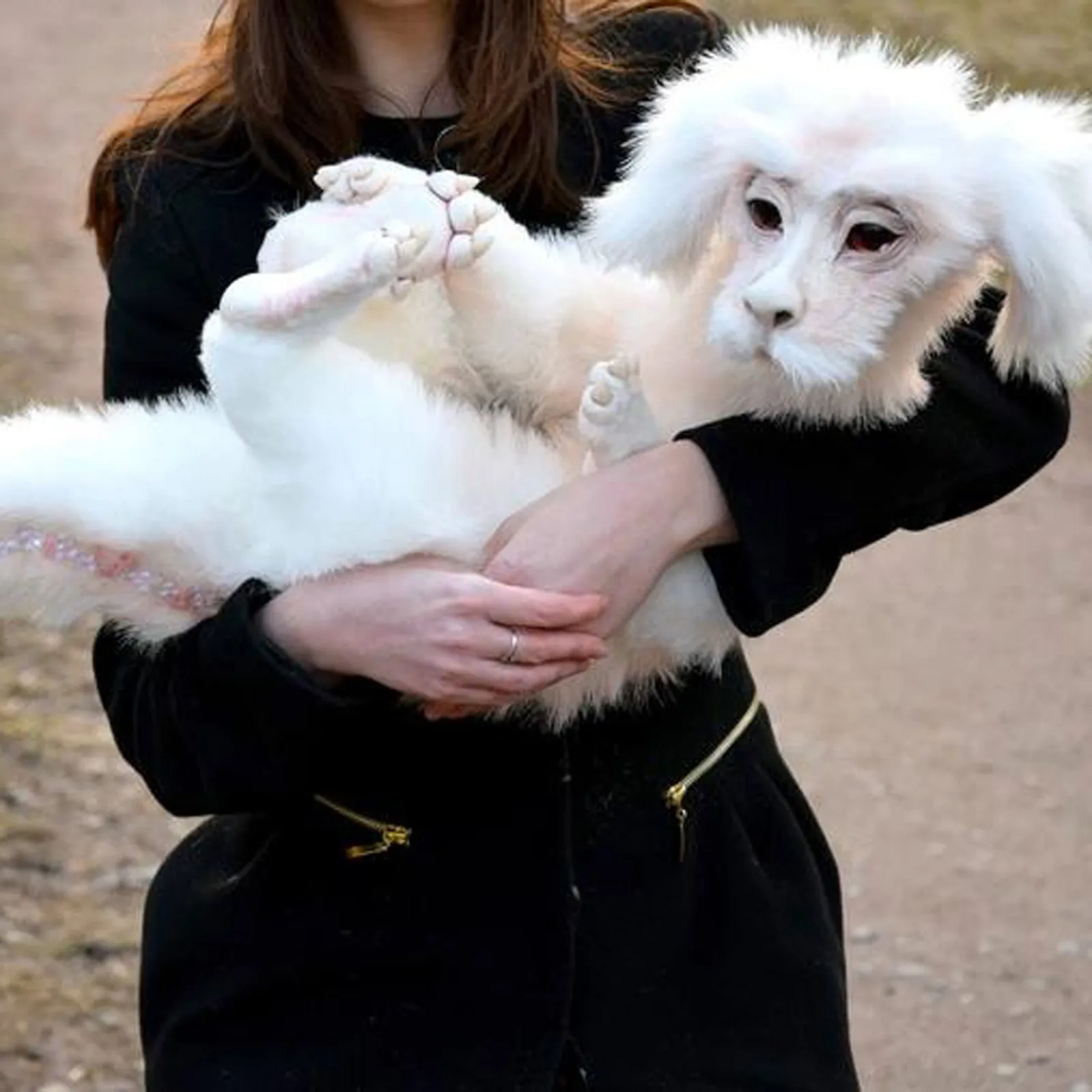 Забавный подарок плюшевая кукла червь из лабиринта Falkor невечной истории ручная