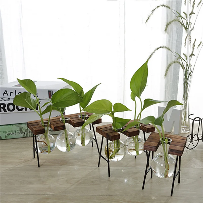 

3 Pieces Glass Planter Transparent Hydroponics Vase Plant Glass Bottle Desktop Decors for Home Office