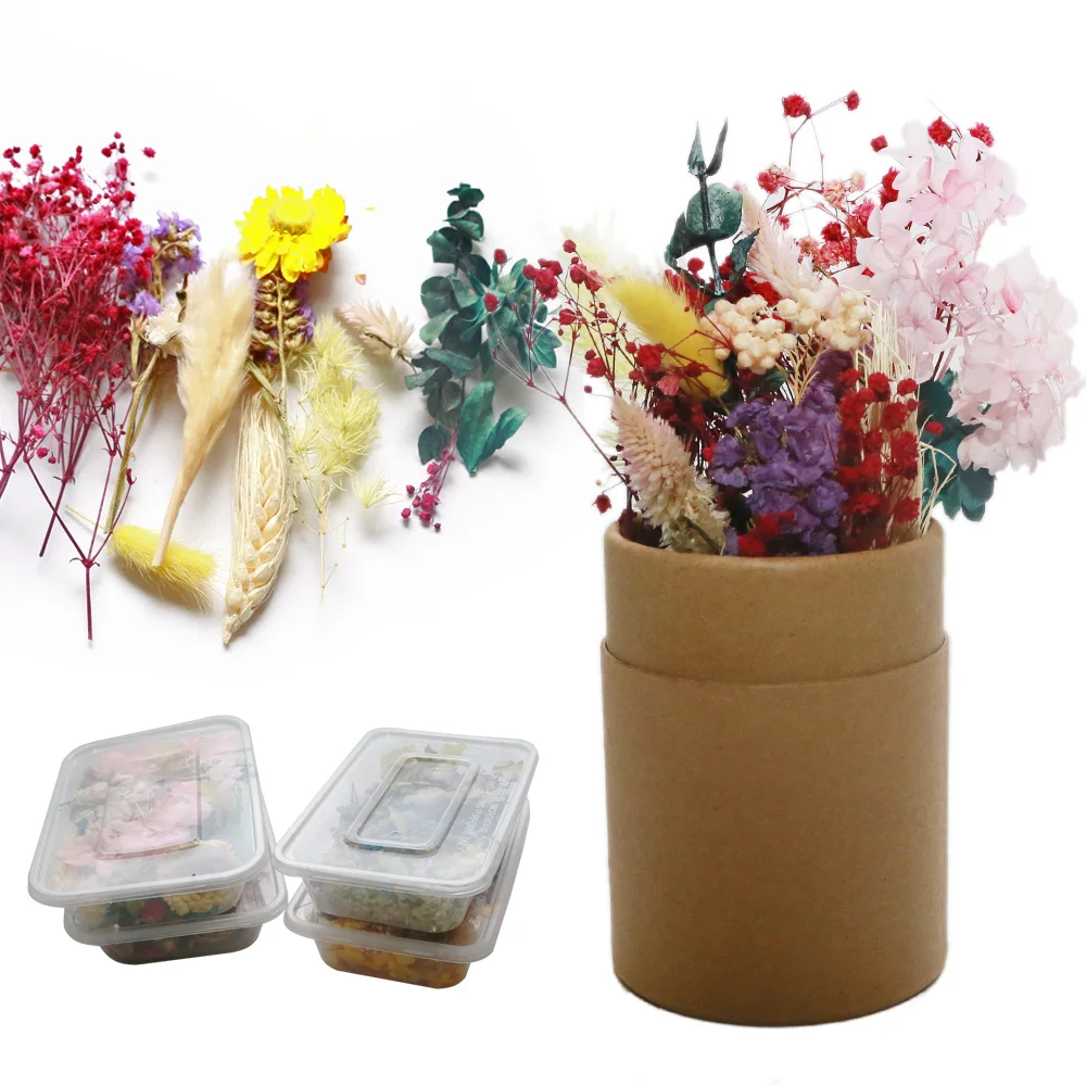 1 коробка Микс настоящих сухоцветов натуральные цветы для творчества