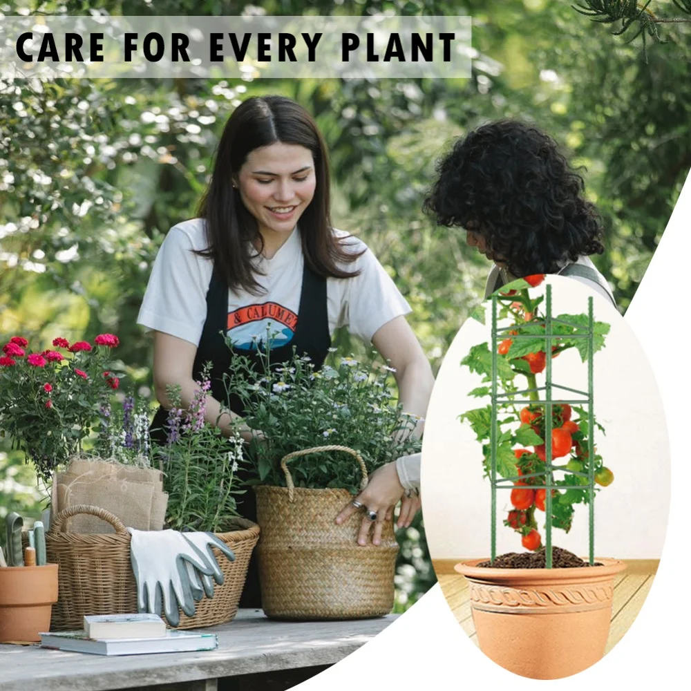 

Кронштейн для подъема растений, томатные клетки, собранные томатные садовые клетки