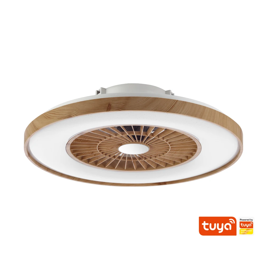 

Free Ship New Wholesale Decoration Remote Modern Smart Control Creative Living Room Invisible Blade LED Ceiling Fan with Light