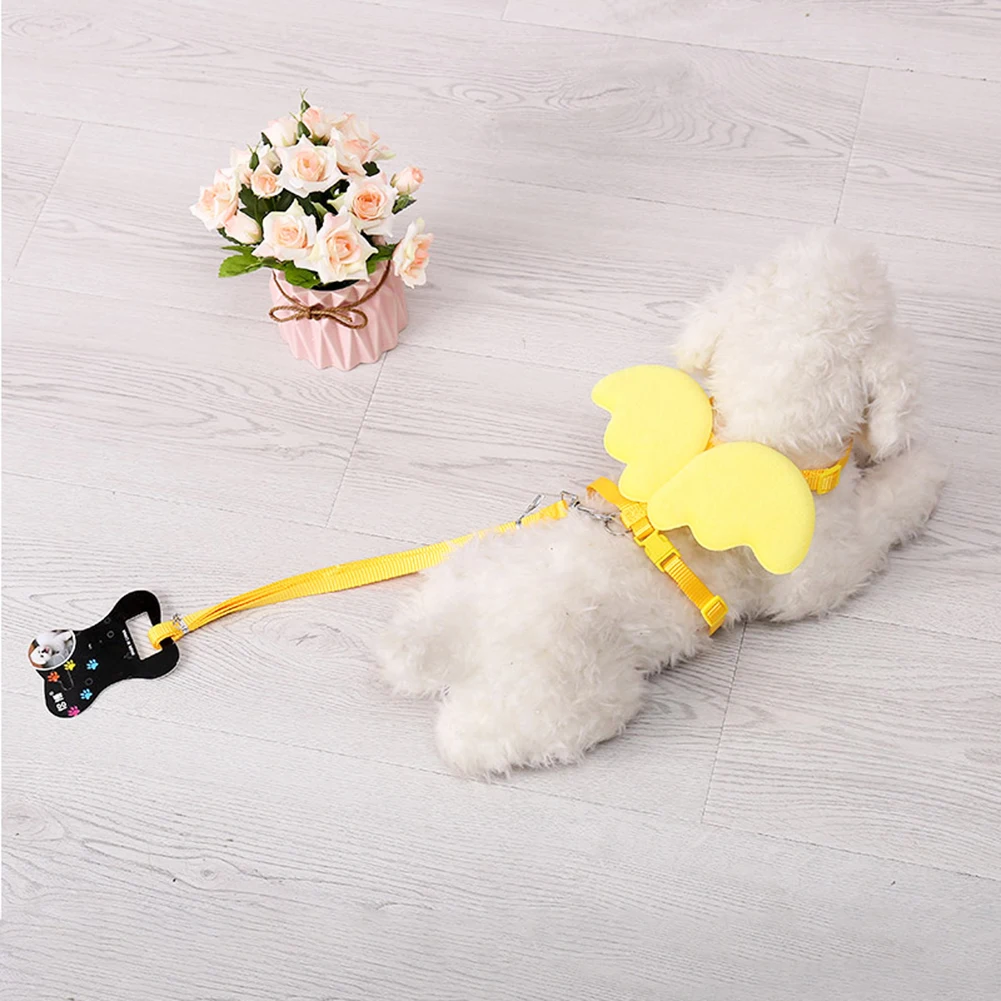 Поводок и поводок для маленьких собак кошек | Дом сад