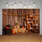 Виниловый фон для фотосъемки, Виниловый фон для детской студийной фотосъемки в стиле Хэллоуин с изображением деревянного сарая сенка тыквы