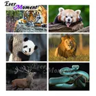 Набор для алмазной вышивки с изображением змеи льва