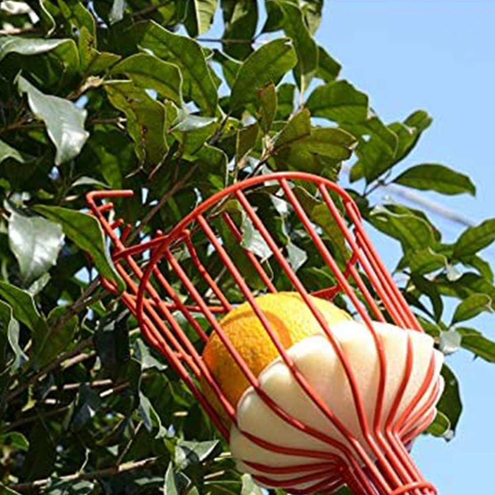 

Garden Tools Deep Basket Fruit Picker Head Set Convenient Fruit Picker Catcher Lemon Peach Picking Farm Garden Picking Device