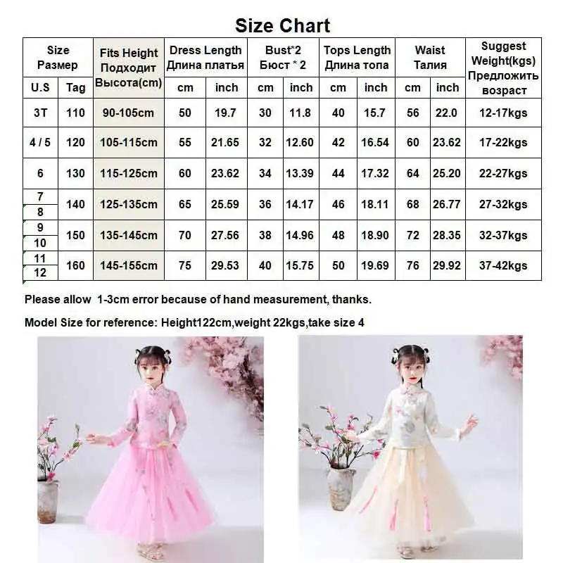 

Kids Chinese Traditional Clothing Boutique Embroidery Stand Collar Long Sleeve Tops+ Layered Skirt 2pcs Elegant Costume Clothes