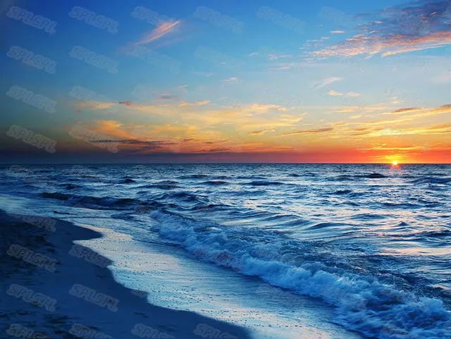 

Diy Diamond Painting White Swan Beautiful Blue Sea Sea Creature Wild Animals Ferocious Lion Elk Zen Flowers Personality Poster