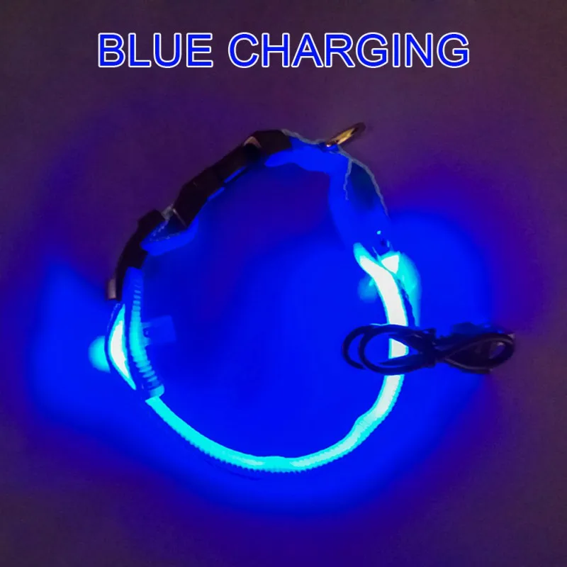 Светодиодный ошейник для собак мигающий в темноте безопасный светодиодный