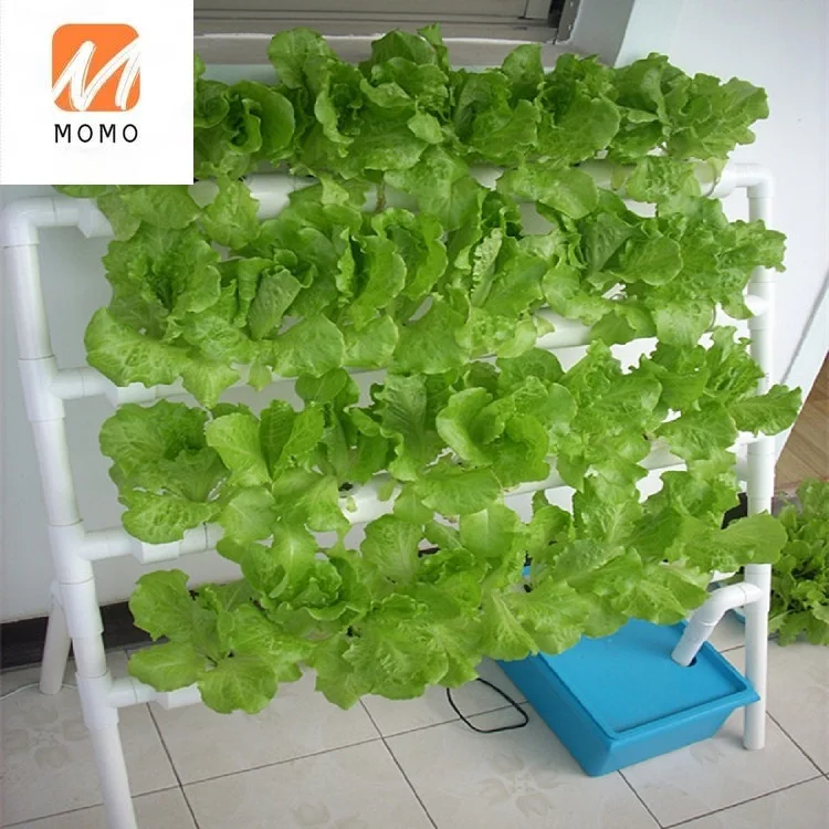 

Hydroponic Home Hydroponic PVC Pipe System Hydroponics Grow Kit