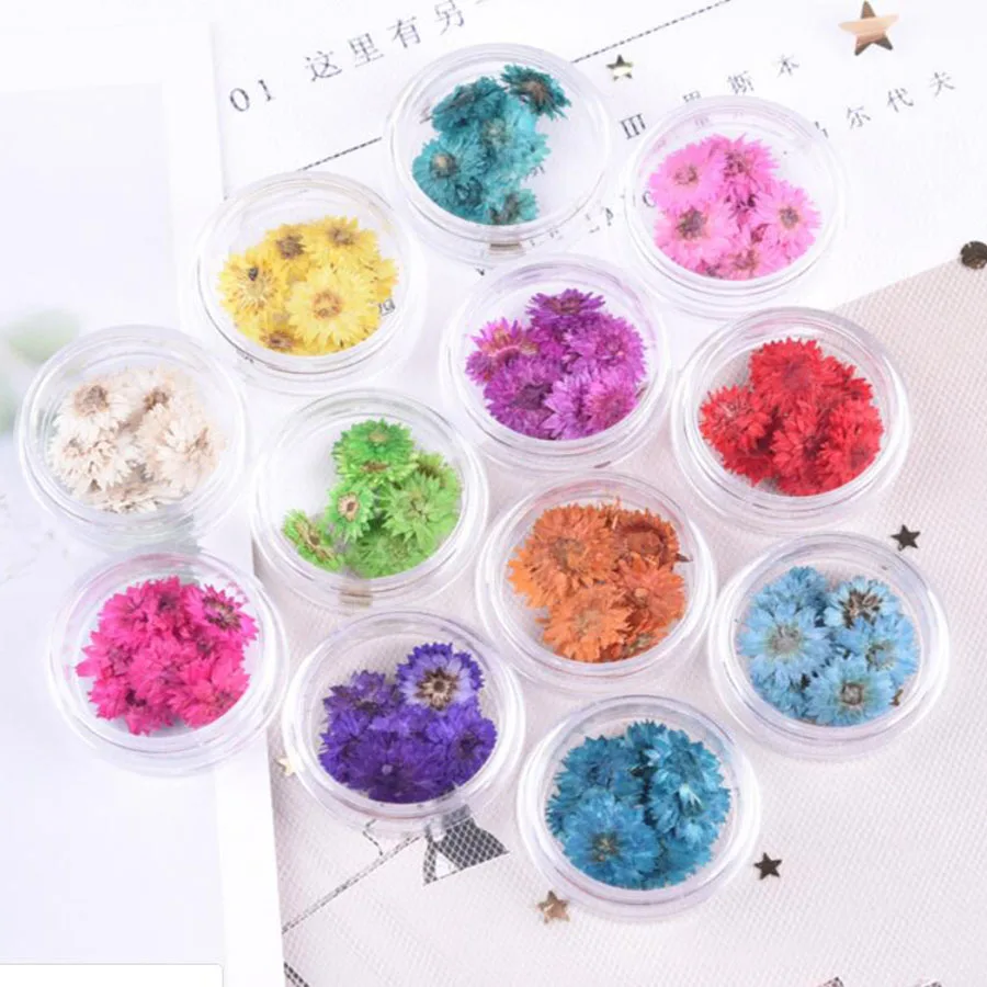 

60pcs Pressed Dried Anaphalis Sinica Hance Flowers Plants Herbarium For Jewelry Phone Case Bookmark Invitation Card Nailart DIY