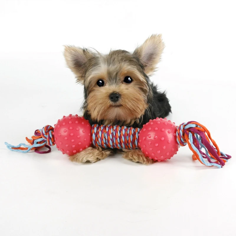 Поставка для домашних животных игрушки собак жевательная игрушка зубы чистые на