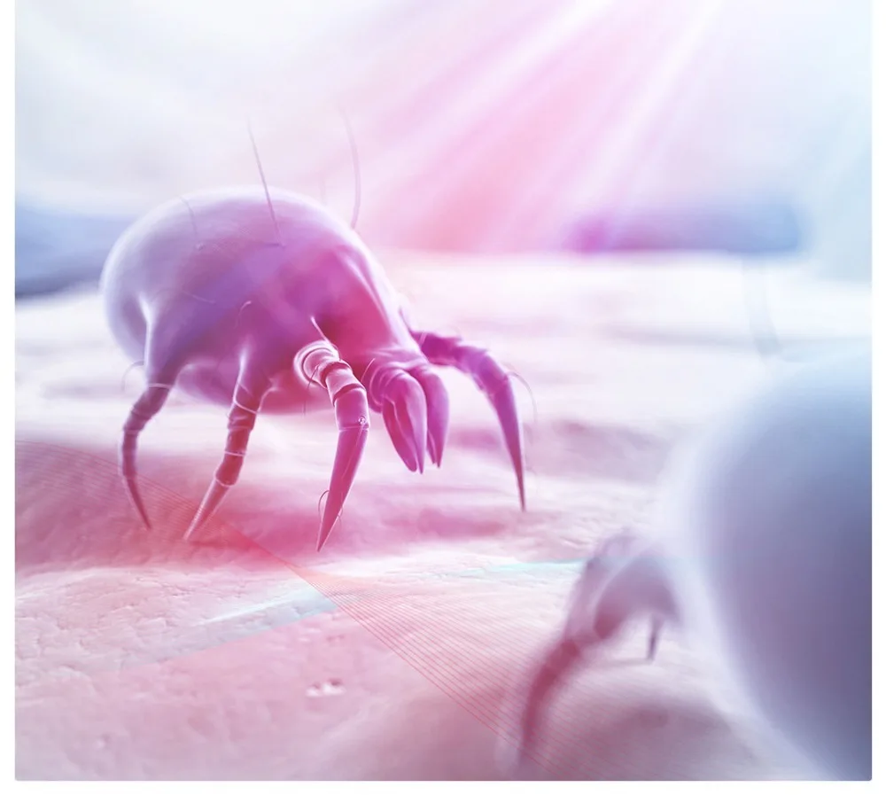 Xiaomi Deerma, портативный, белый, беспроводной, ручной пылесос, 7000 pa, контроллер от пыли, Ультрафиолетовый пылесос, умный для дома