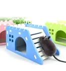Деревянные товары для домашних животных, потенциогнездо, игрушка-замок Ежик для домашних животных, 1 шт., платформа для наблюдения, лестница, игрушечный домикмост для домашних животных