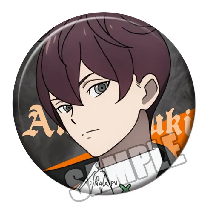 Аниме Визуальный значок из тюрьмы булавка аксессуары для косплея брошь Robin