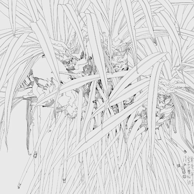Tropical plant Meticulous Brushwork flower technique line drawing sketch Chinese modern painting course book | Канцтовары для офиса