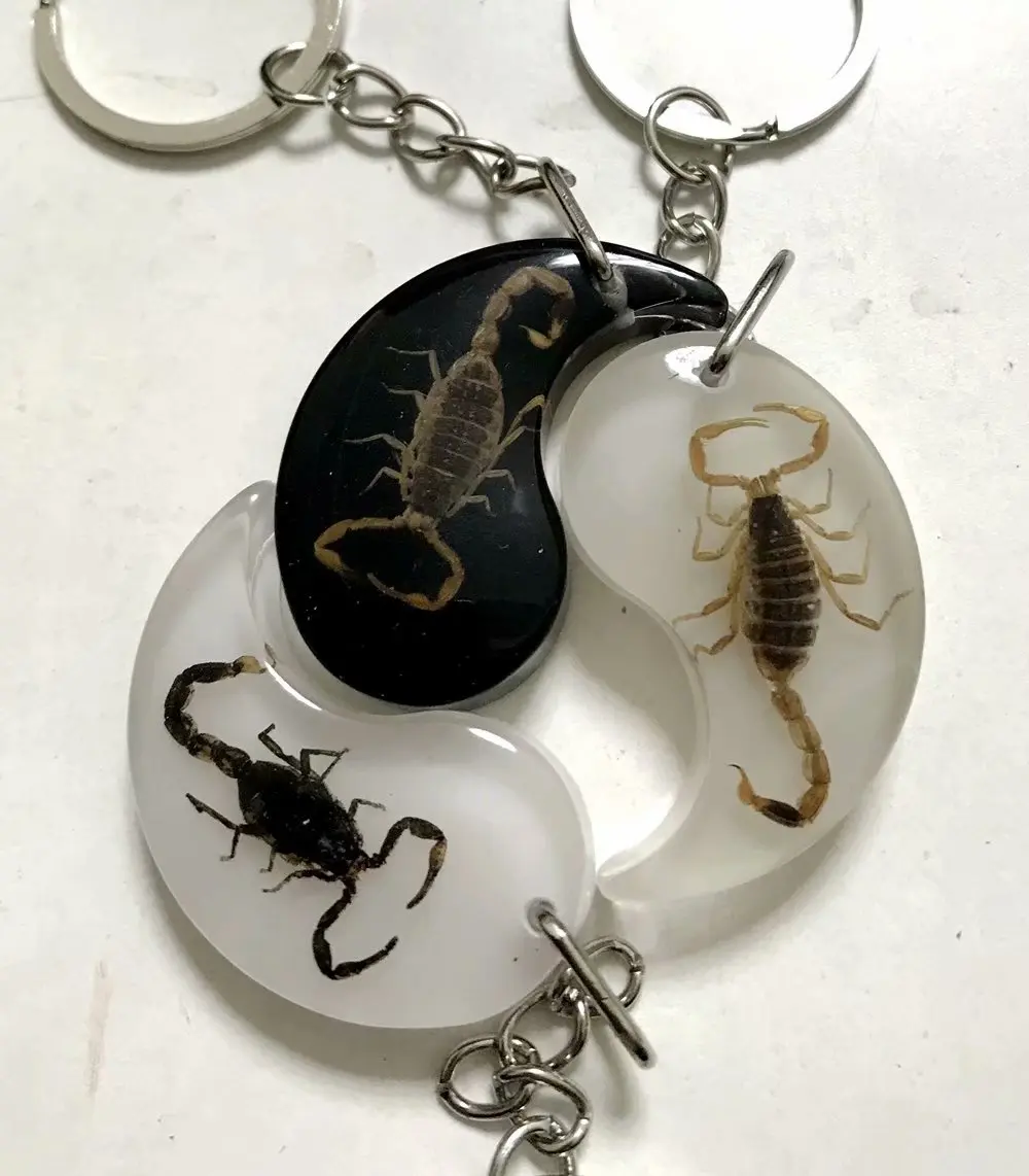 

12 pcs Real Insect Key Chain - New Scorpion Keychain Bag Car Key Ring accessories