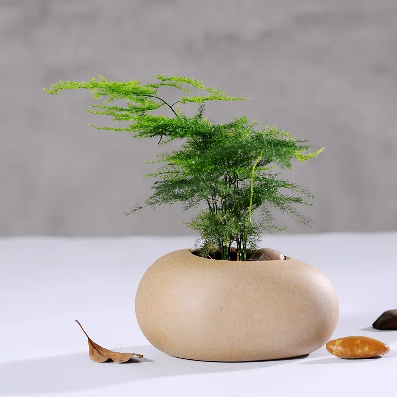 Ручной работы из керамики и мясистые цветочные горшки для висячих искусственный