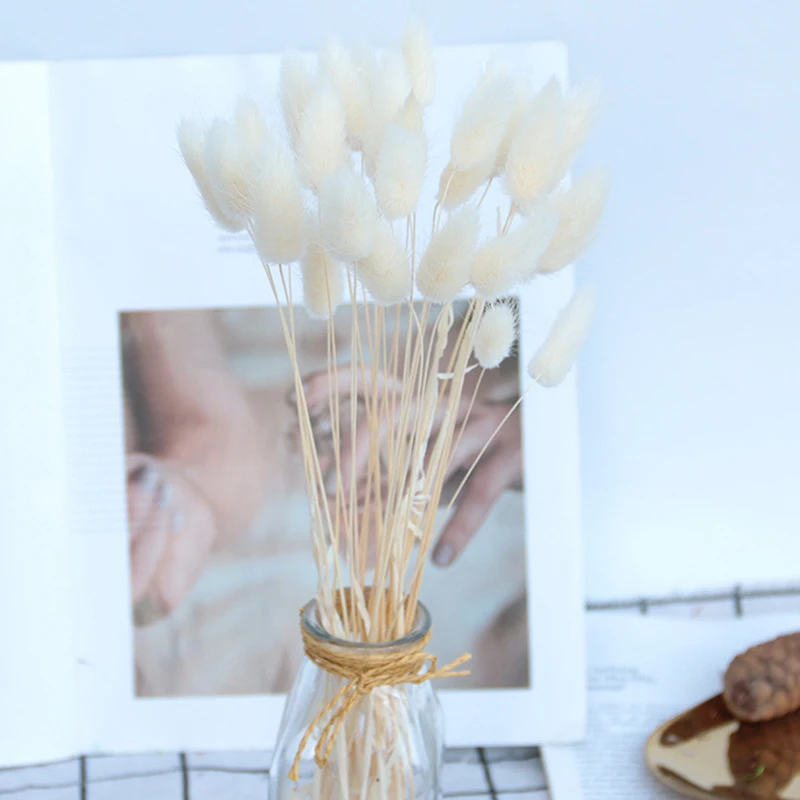 Натуральные сухие цветы Lagurus белые Искусственные цветные искусственные кроличьи