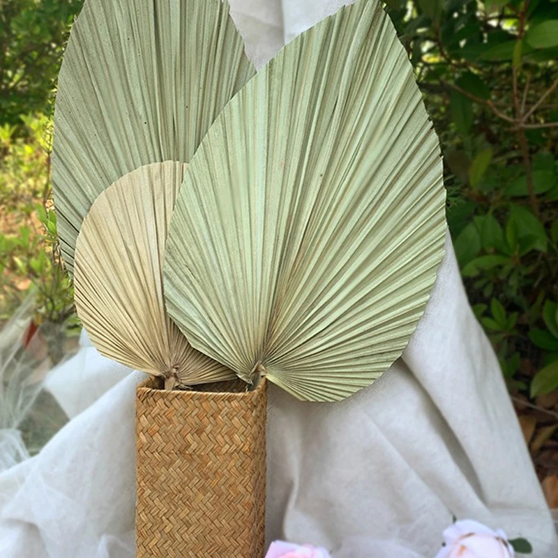 

Palm Fan Leaf Dried Flower Palm Leaf Window Reception Party Wall Hanging Wedding
