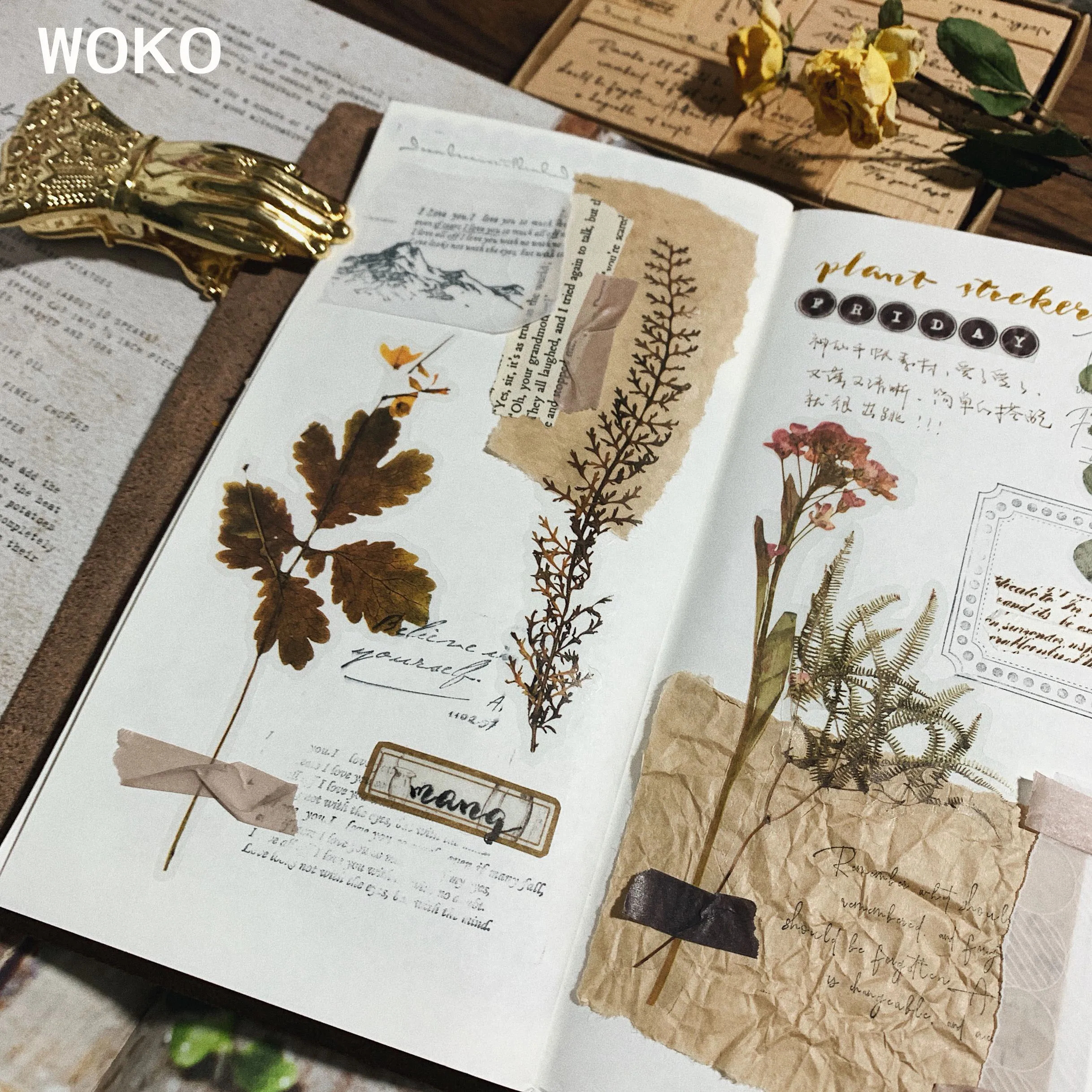 WOKO 20 шт./упак. прозрачный цветок, растение, свадебная брошь, ретро папоротник/эвкалипты/сухих цветов/хлопок/филиал Стикеры "сделай сам" Пуля журнал Скрапбукинг
