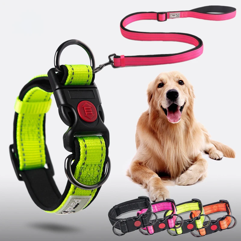 

Adjustable Luminous collar Dog collar dog leash for small, medium and large dogs dog training collar Choker neck dog accessories