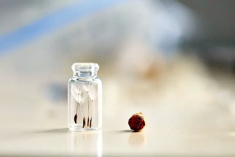 Ожерелье с изображением одуванчика бутылки желаний Серебряный крошечный