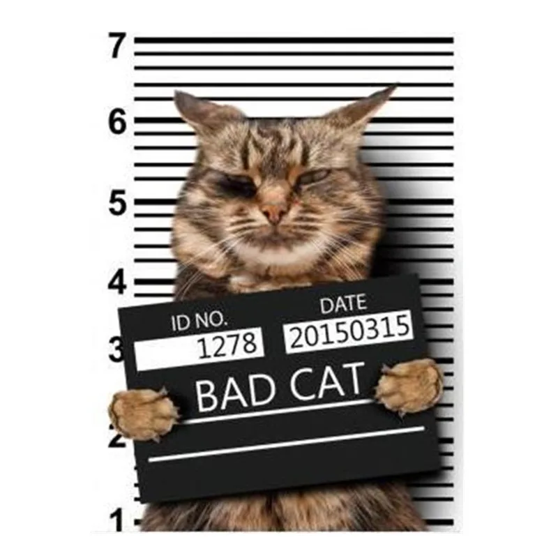 Модная Милая нашивка, сделай сам, одежда 247 мм, BAD CAT, 3d наклейки, Термотрансферная печать, железные нашивки для одежды, футболки для женщин