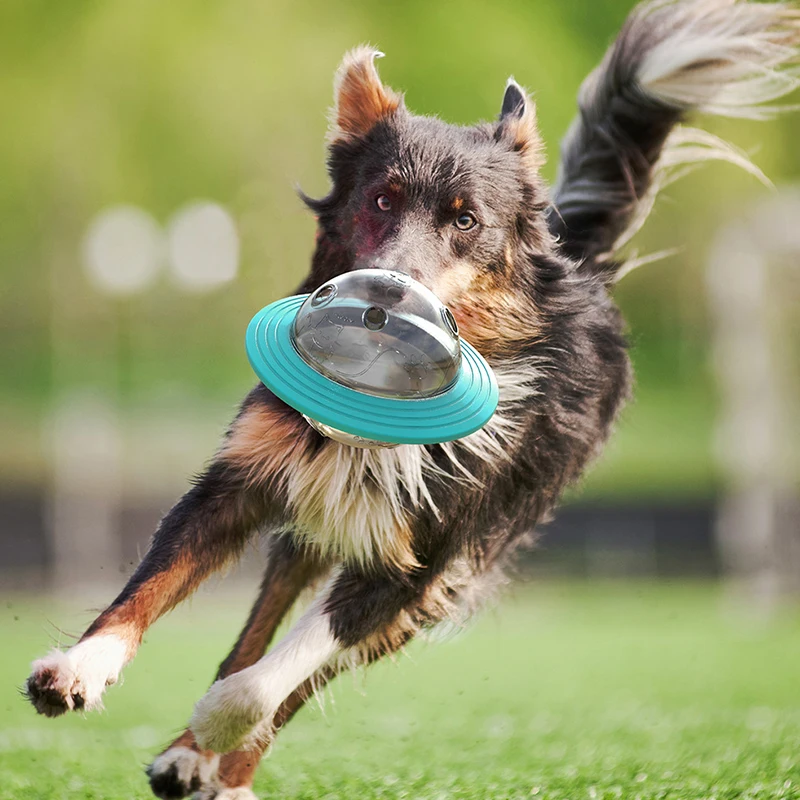 Flying Discs Toys Dog Slow Food Feeder Ball Saucer Game Cat Chew Leaking Puppy IQ Training Toy Anti Choke Puzzle Dogs | Дом и сад