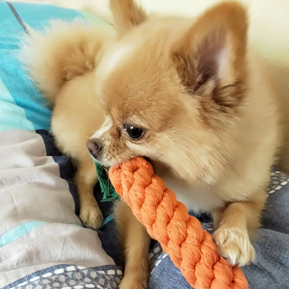 5Pcs Transer Pet Supply High Quality Dog Toy Carrot Shape Rope Puppy Chew Toys Teath Cleaning Outdoor Fun Training | Дом и сад