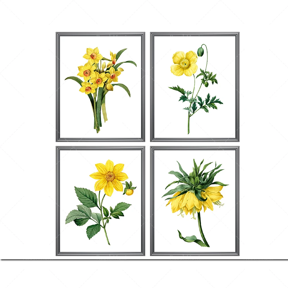 

Ensemble imprimable de 4 piÃ¨ces de fleurs jaunes, illustrations de fleurs rÃ©tro, impressions d'art mural vÃ©gÃ©tal