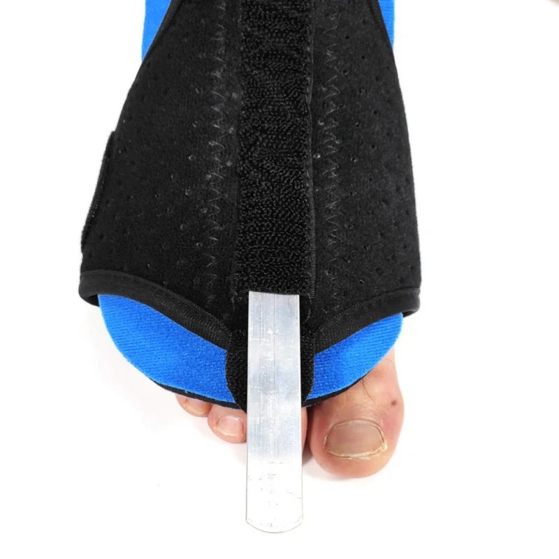 

Fitness & Body Building