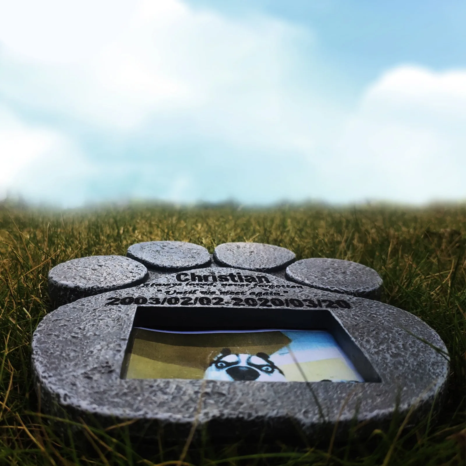 Памятный камень в виде лапы для домашних животных фоторамка с гравировкой