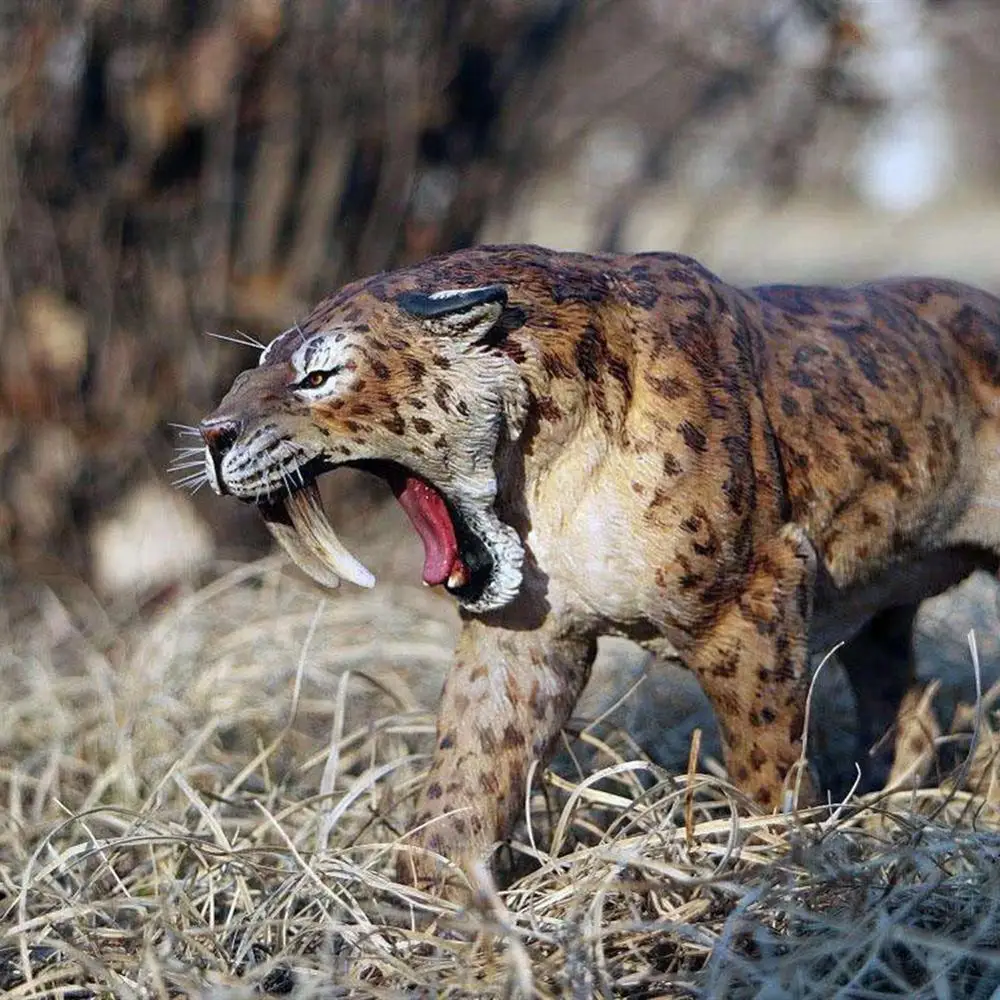 

Resin Imitation Saber-Toothed Cat Skull Model Simulated Animal Skeleton Decoration Display Decorative Gift