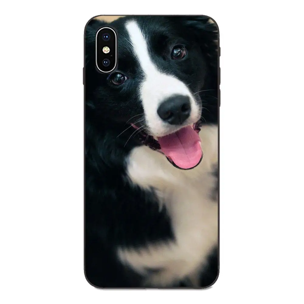 TPU Screen Protector For Galaxy A10S A20S A2 Core A30S A40S A50S A70S A90 5G M10 M30S M40 Note 10 Plus Border Collie Dog | Мобильные