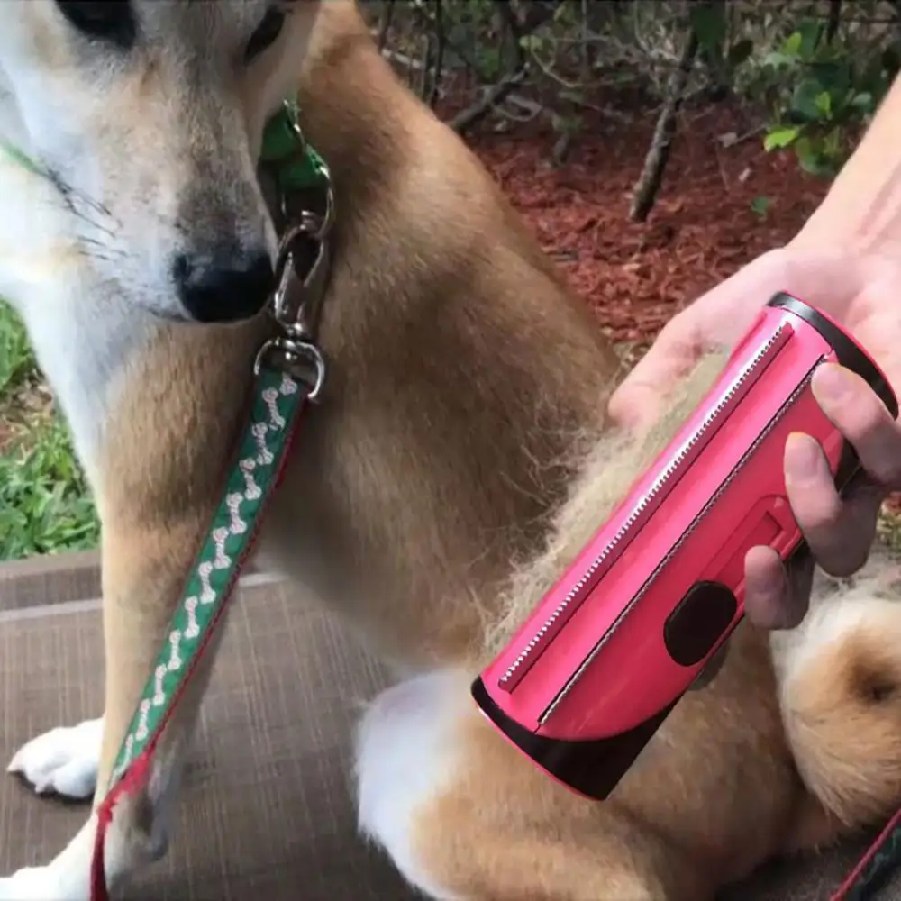 

Pet Hair Removal Cleaning Brush Dogs Cats portable Puppy Sofa Clean Carpet Hair Brushes Pets Hair Brushes Puppy Suppliers