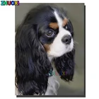 Алмазная 5d-вышивка с полным заполнением, картина сделай сам, кавалер Кинг, Чарльз спаниель, стразы, мозаика ручной работы, украшение для дома