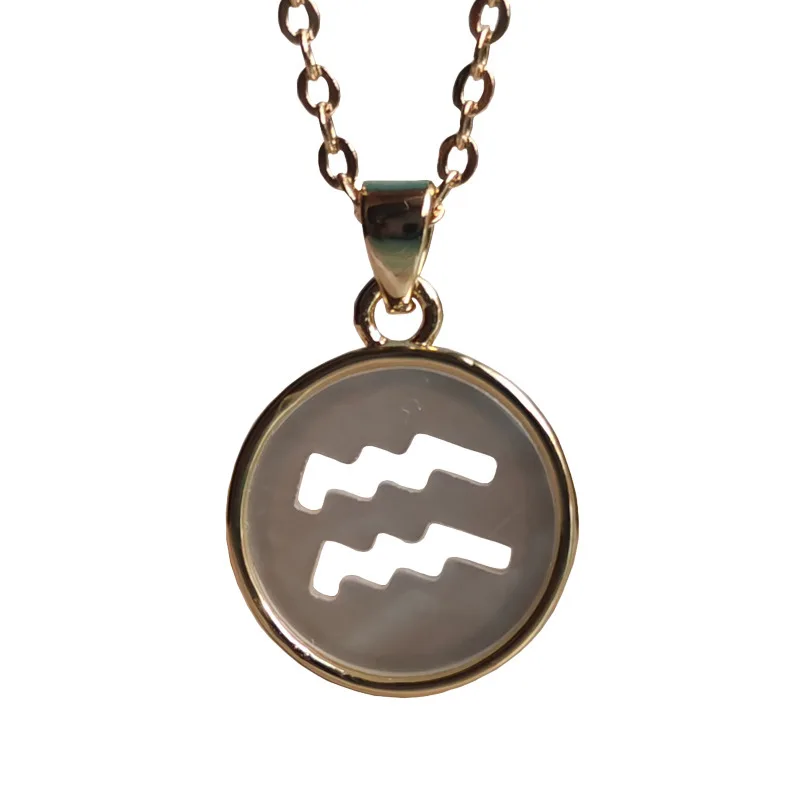 

2021 Jewelry 12 Constellation Necklace Female White Fritillary Pendant Alloy Plated Fashion Lock Bone Chain For Gift