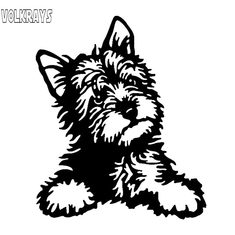 Красивая Автомобильная наклейка Volkrays аксессуары для йорков светоотражающая